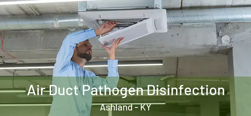  Air Duct Pathogen Disinfection Ashland - KY
