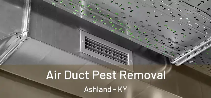  Air Duct Pest Removal Ashland - KY