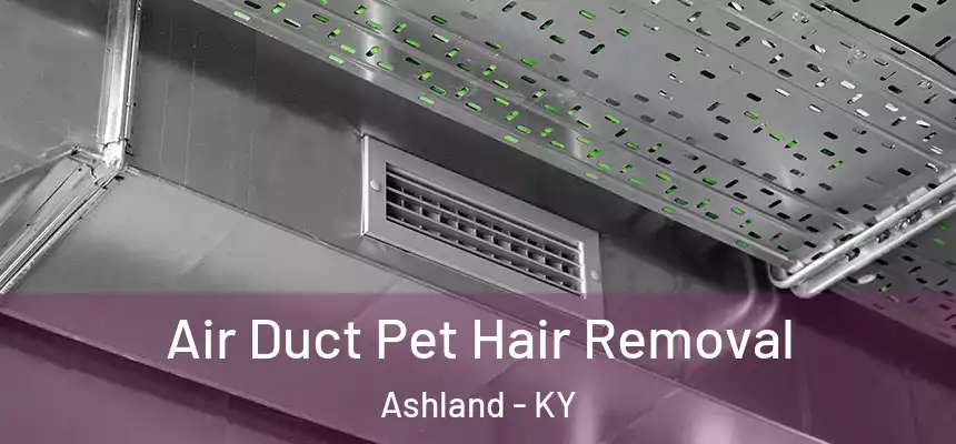 Air Duct Pet Hair Removal Ashland - KY