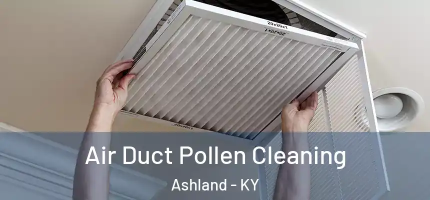  Air Duct Pollen Cleaning Ashland - KY