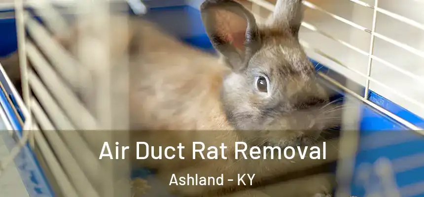 Air Duct Rat Removal Ashland - KY