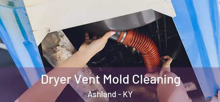 Dryer Vent Mold Cleaning Ashland - KY