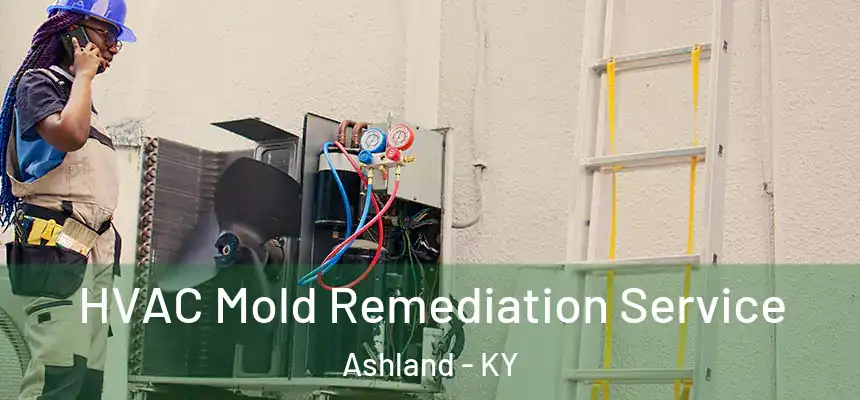 HVAC Mold Remediation Service Ashland - KY