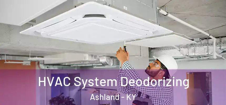 HVAC System Deodorizing Ashland - KY