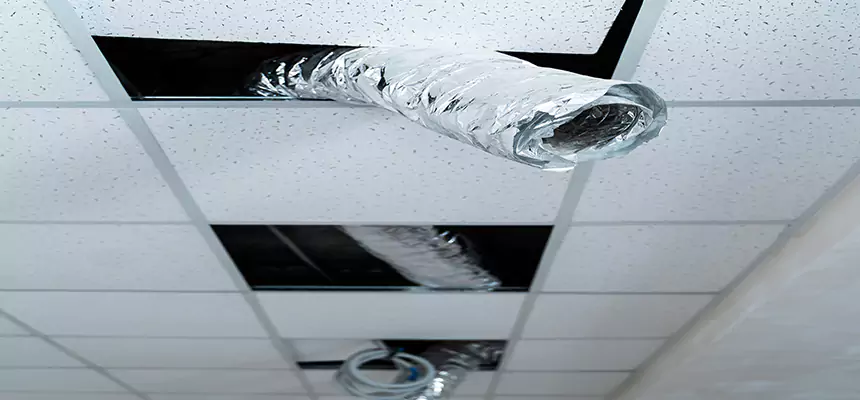 Our Air Duct Pet Hair Removal Services in Ashland, KY