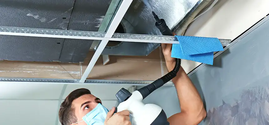 Our Air Duct Rodent Removal Services in Ashland, KY