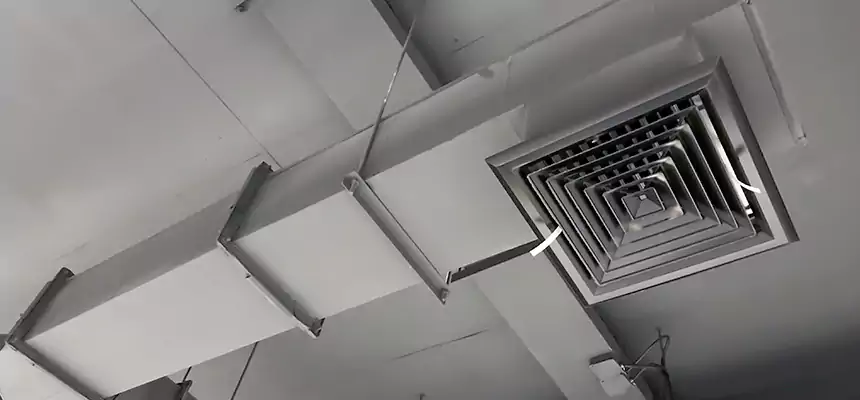 Our Rodent Droppings In Vents Services in Ashland, KY