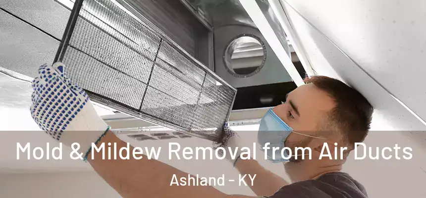 Mold & Mildew Removal from Air Ducts Ashland - KY