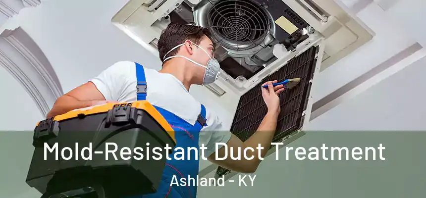 Mold-Resistant Duct Treatment Ashland - KY