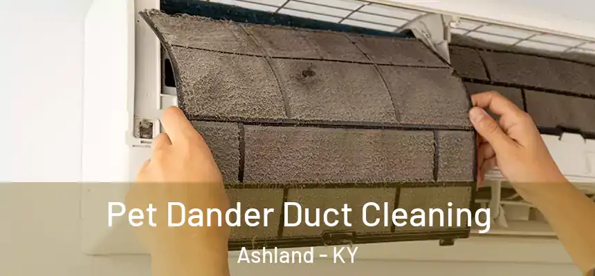 Pet Dander Duct Cleaning Ashland - KY