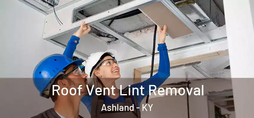 Roof Vent Lint Removal Ashland - KY