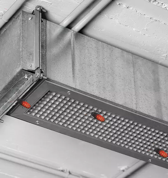 About Air Duct Cockroach Removal in Ashland, KY