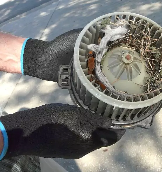 About Air Duct Rat Removal in Ashland, KY