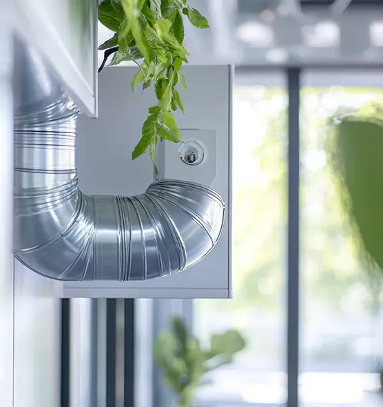 Professional Eco-Safe Dryer Vent Cleaning in Ashland, KY