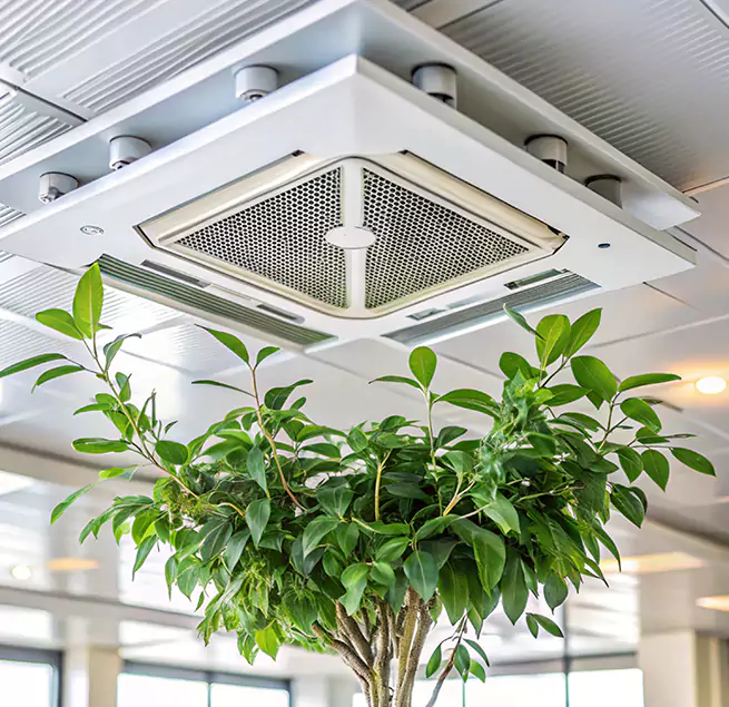 Why Homeowners & Businesses Trust Us in Ashland, KY